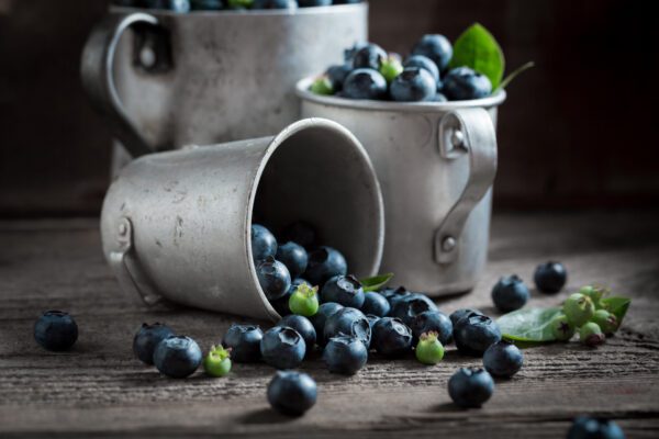 photo of blueberries